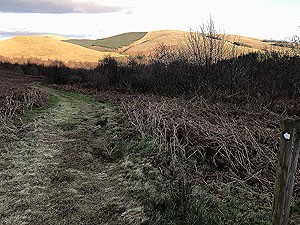 Glen Devon - Geordies wood. 