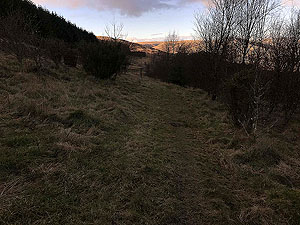 Glen Devon - Geordies wood. 