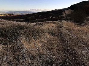 Glen Devon - Geordies wood. 