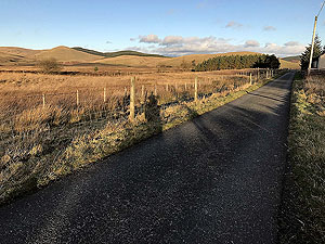 Glen Devon - Geordies wood. 