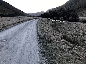Glen Almond. 