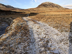 Glen Almond