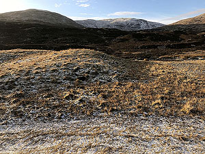 Glen Almond. Image from Glen Almond