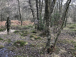 Craigmore. Image from Craigmore