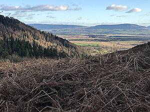 Craigmore