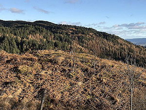 Craigmore. Image from Craigmore