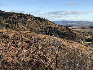 Craigmore. Image from Craigmore