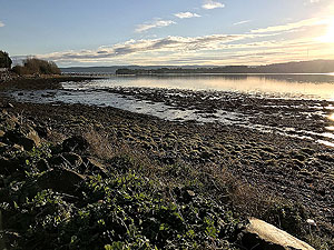 Helensburgh - Glen Fruin. Looking towards the Clyde from Rhu