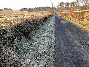 Helensburgh - Glen Fruin. Heading into the glen