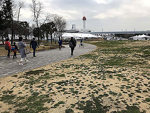 Tokyo marathon. Image from Tokyo marathon