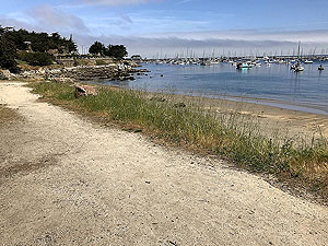 Big Sur Marathon. 538_sm_01.jpg