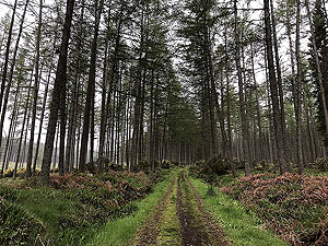 Meikle Tap. Long straight section