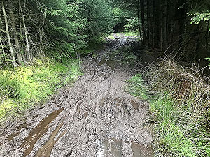 Meikle Tap. The short muddy section