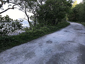 Ben Lomond. Just out of the car park and along the loch