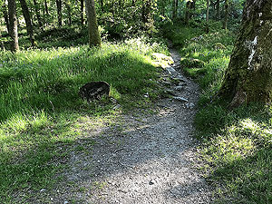 Ben Lomond. The turning on right just after bunk house