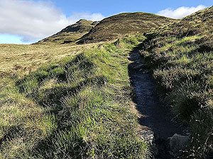 Ben Lomond. This hill seems to go up and up forever