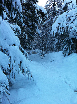 Firmounth. Deep in snow