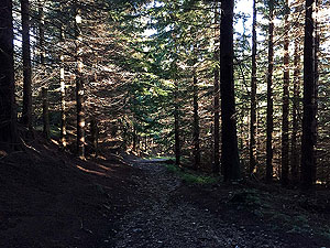 Firmounth. Image from Firmounth