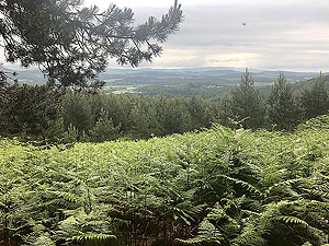 Firmounth. More Deeside