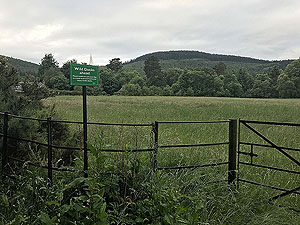 Firmounth. Not so frosty