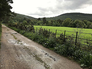 Firmounth. A damp wet morning