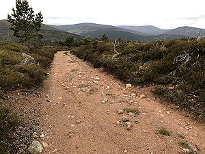 Firmounth