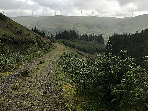 Glen Sherup loop. Looking back towards the windmills