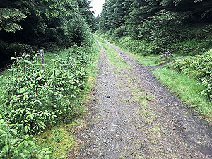Glen Sherup loop. Note the small cairn on the right marking the route