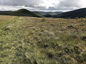 Glen Sherup loop