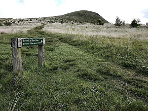 Glen Sherup loop. Only 500m to the top