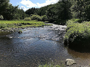 Glen Sherup loop. River Devon beside the car park