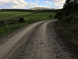 Pitfitchie loop. Can get rather dull in places