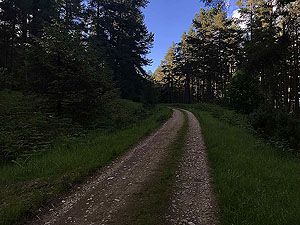 Pitfitchie loop. One of many easy up hills