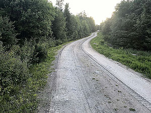 Pitfitchie loop. Never short of trees on this route