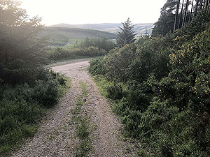Pitfitchie loop. Looking back from the start of the climb