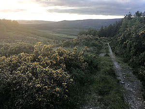 Pitfitchie loop