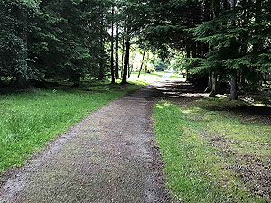 Loch Skene . Less trees