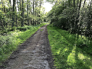 Loch Skene . Close to the loch
