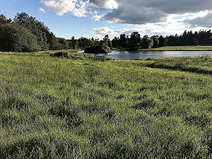 Loch Skene . View of the loch