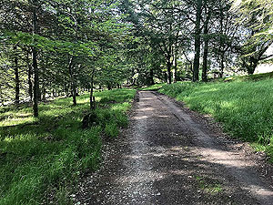 Loch Skene . Very short section off the tarred road