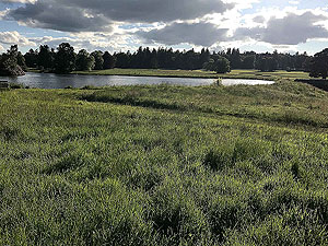 Loch Skene . Policy Loch