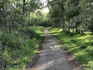 Loch Skene . The path ahead