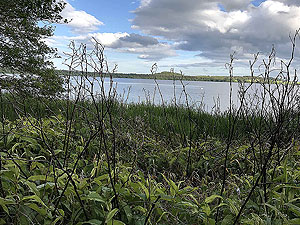 Loch Skene . Loch Skene from the path
