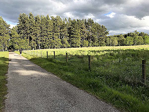 Loch Skene . Opens out to fields