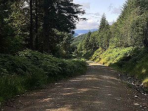 Glen Loin Loop. The loch in the distance