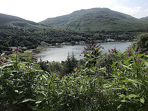 Glen Loin Loop. Just after the tee junction