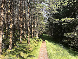 Glen Loin Loop. For a short distance