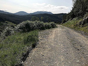 Glen Loin Loop. Nice views when gaps appear in the trees