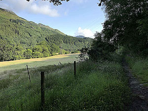 Glen Loin Loop. In and out of the trees