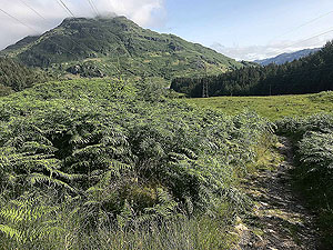 Glen Loin Loop. Starting to gain heigth